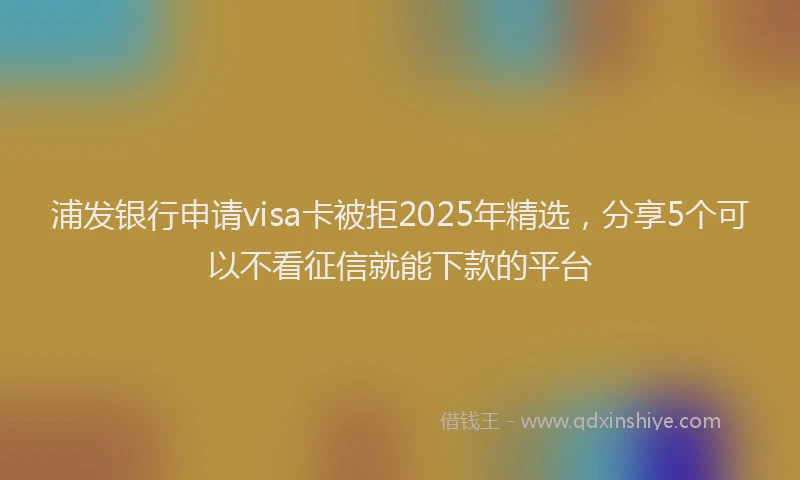 浦发银行申请visa卡被拒2025年精选，分享5个可以不看征信就能下款的平台