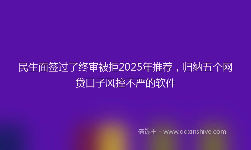 民生面签过了终审被拒2025年推荐，归纳五个网贷口子风控不严的软件