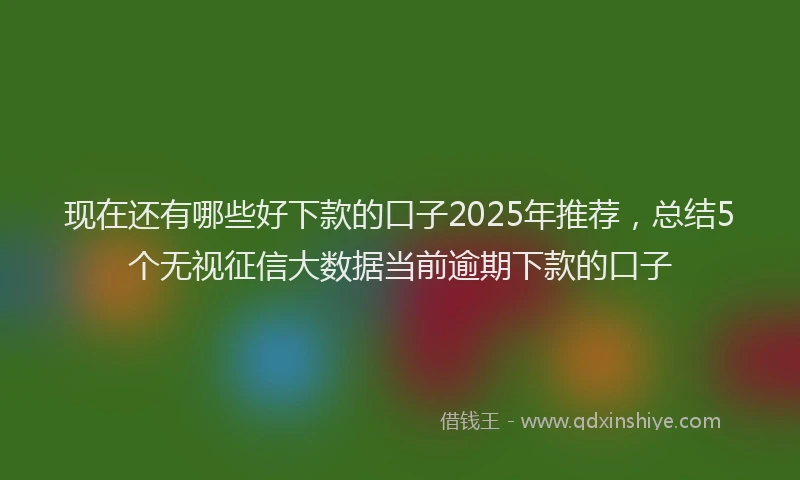 现在还有哪些好下款的口子2025年推荐，总结5个无视征信大数据当前逾期下款的口子