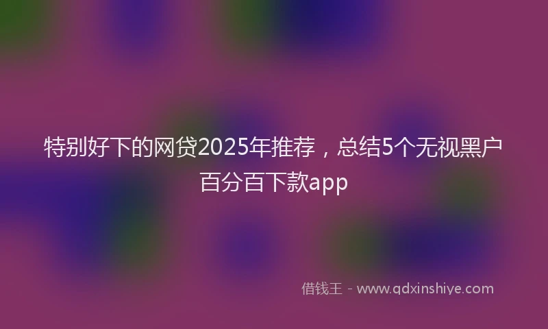 特别好下的网贷2025年推荐，总结5个无视黑户百分百下款app