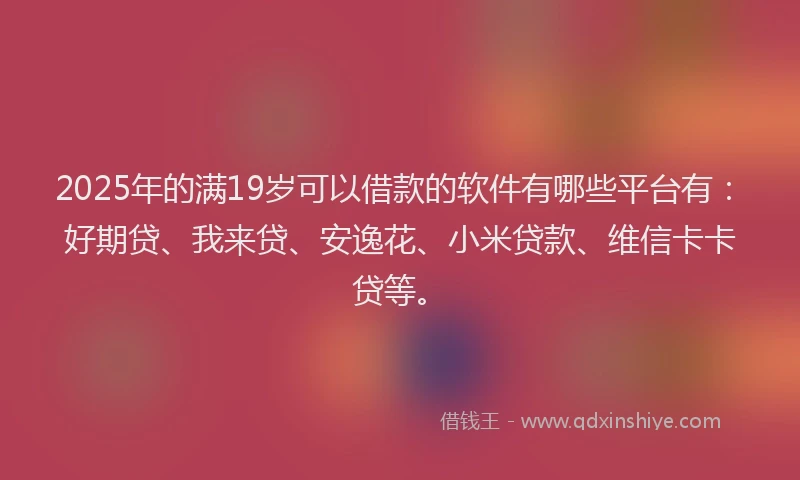 2025年的满19岁可以借款的软件有哪些平台有：好期贷、我来贷、安逸花、小米贷款、维信卡卡贷等。