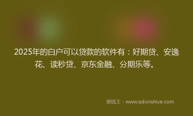 2025年的白户可以贷款的软件有：好期贷、安逸花、读秒贷、京东金融、分期乐等。