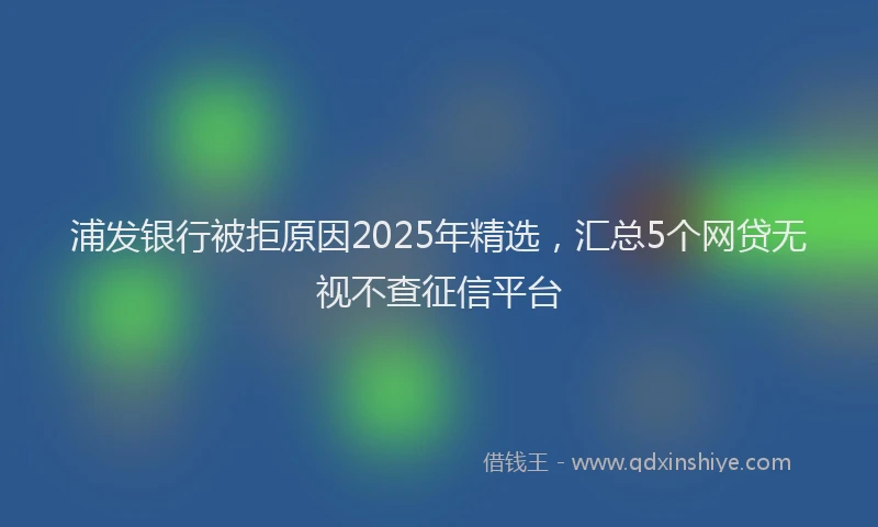 浦发银行被拒原因2025年精选，汇总5个网贷无视不查征信平台