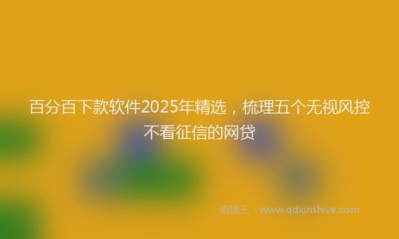 百分百下款软件2025年精选，梳理五个无视风控不看征信的网贷