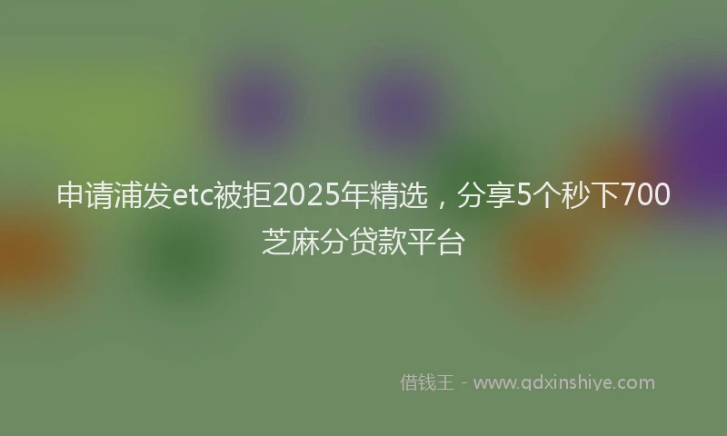 申请浦发etc被拒2025年精选，分享5个秒下700芝麻分贷款平台