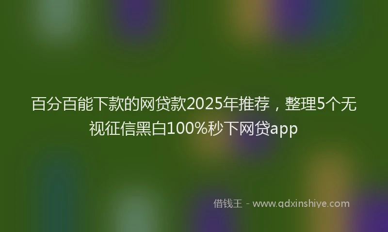 百分百能下款的网贷款2025年推荐，整理5个无视征信黑白100%秒下网贷app