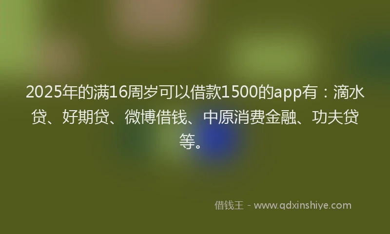 2025年的满16周岁可以借款1500的app有：滴水贷、好期贷、微博借钱、中原消费金融、功夫贷等。