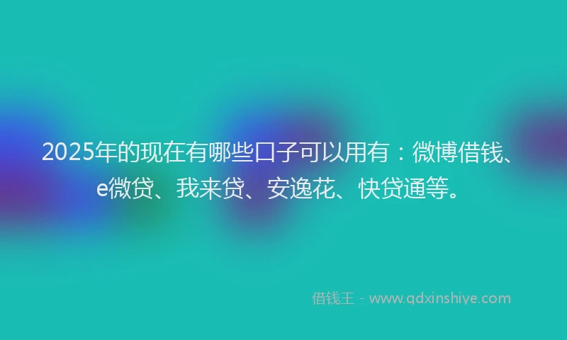 2025年的现在有哪些口子可以用有：微博借钱、e微贷、我来贷、安逸花、快贷通等。