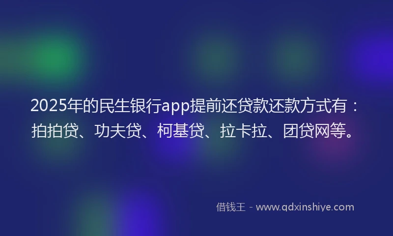 2025年的民生银行app提前还贷款还款方式有：拍拍贷、功夫贷、柯基贷、拉卡拉、团贷网等。