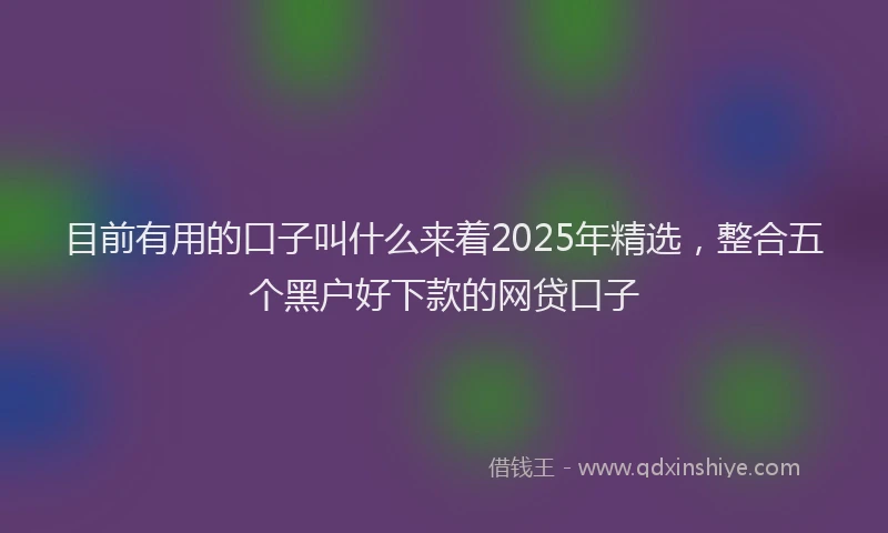 目前有用的口子叫什么来着2025年精选，整合五个黑户好下款的网贷口子