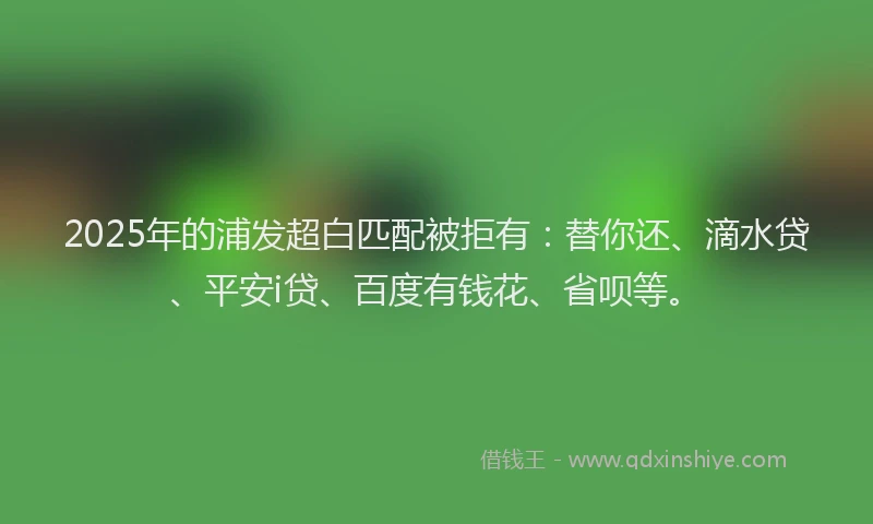 2025年的浦发超白匹配被拒有：替你还、滴水贷、平安i贷、百度有钱花、省呗等。