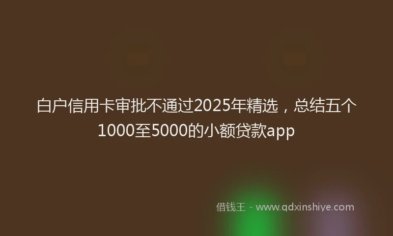 白户信用卡审批不通过2025年精选，总结五个1000至5000的小额贷款app