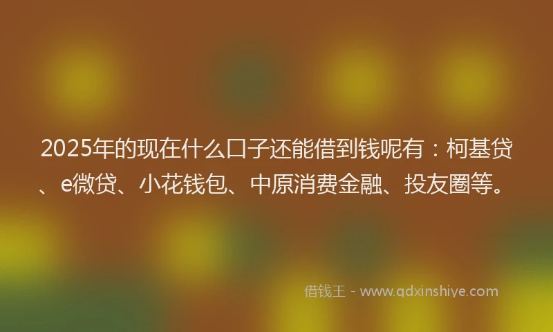2025年的现在什么口子还能借到钱呢有：柯基贷、e微贷、小花钱包、中原消费金融、投友圈等。