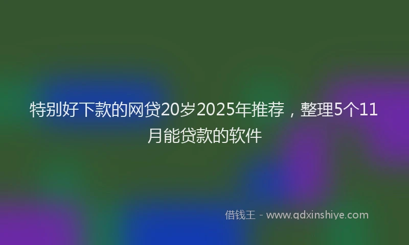 特别好下款的网贷20岁2025年推荐，整理5个11月能贷款的软件