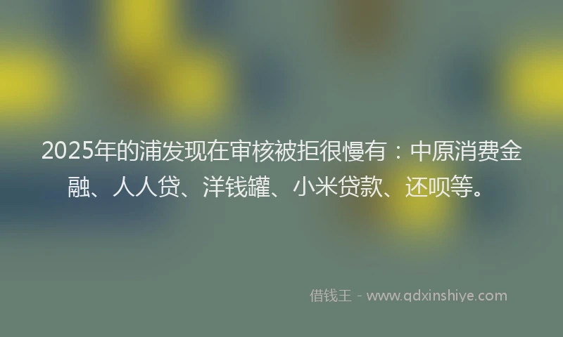 2025年的浦发现在审核被拒很慢有：中原消费金融、人人贷、洋钱罐、小米贷款、还呗等。
