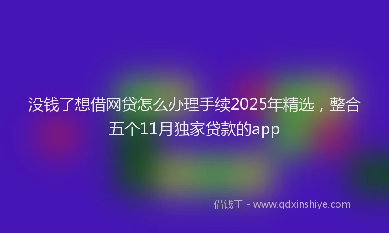 没钱了想借网贷怎么办理手续2025年精选，整合五个11月独家贷款的app