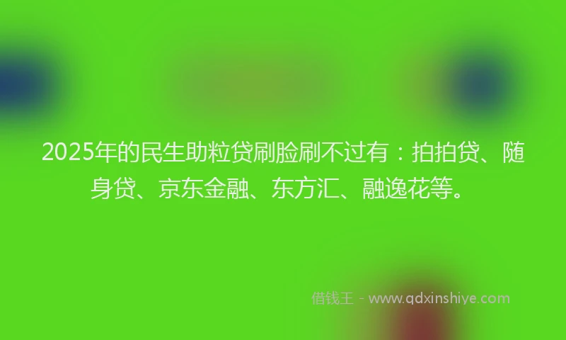 2025年的民生助粒贷刷脸刷不过有：拍拍贷、随身贷、京东金融、东方汇、融逸花等。
