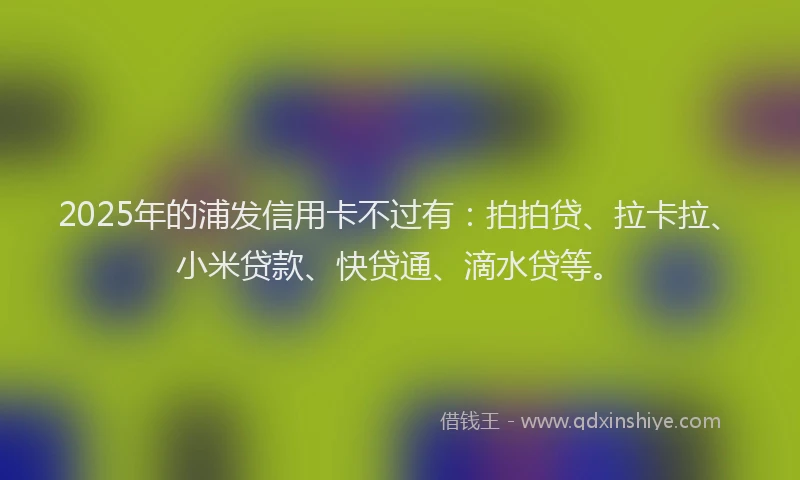 2025年的浦发信用卡不过有：拍拍贷、拉卡拉、小米贷款、快贷通、滴水贷等。