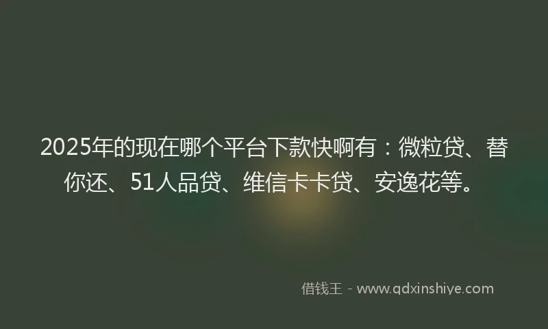 2025年的现在哪个平台下款快啊有：微粒贷、替你还、51人品贷、维信卡卡贷、安逸花等。
