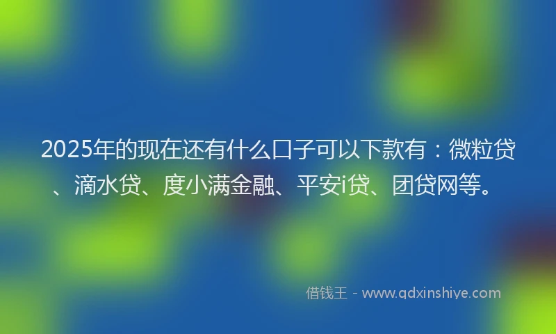 2025年的现在还有什么口子可以下款有：微粒贷、滴水贷、度小满金融、平安i贷、团贷网等。