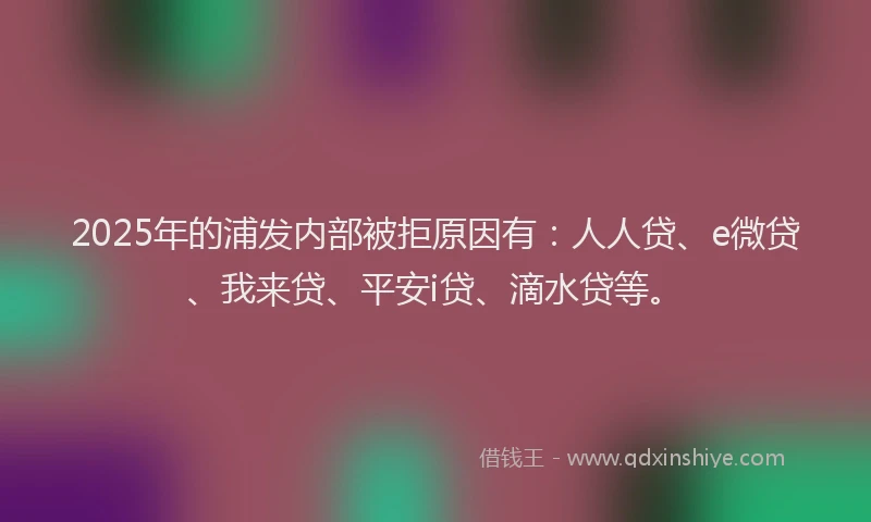 2025年的浦发内部被拒原因有：人人贷、e微贷、我来贷、平安i贷、滴水贷等。