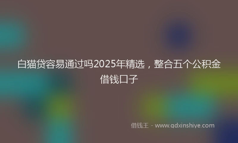 白猫贷容易通过吗2025年精选，整合五个公积金借钱口子