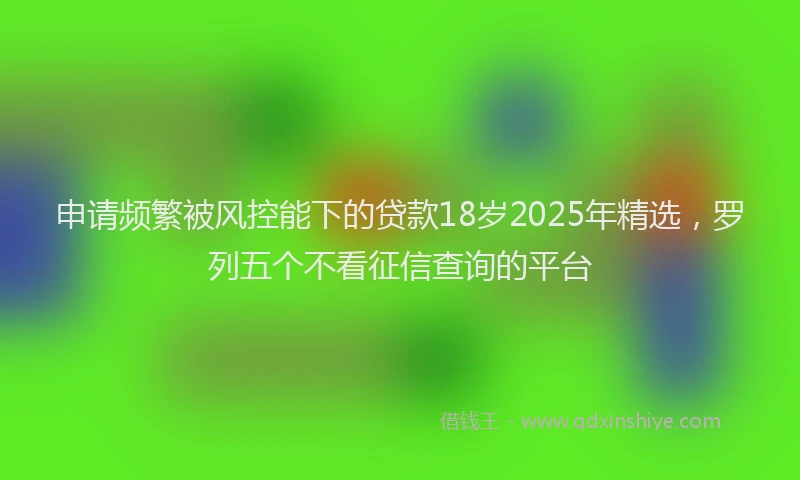 申请频繁被风控能下的贷款18岁2025年精选，罗列五个不看征信查询的平台