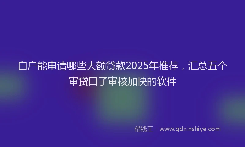 白户能申请哪些大额贷款2025年推荐，汇总五个审贷口子审核加快的软件