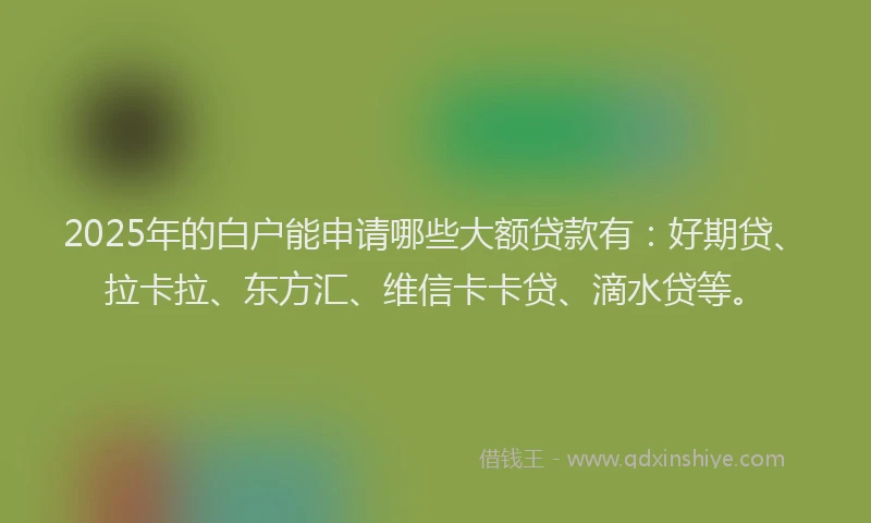 2025年的白户能申请哪些大额贷款有：好期贷、拉卡拉、东方汇、维信卡卡贷、滴水贷等。