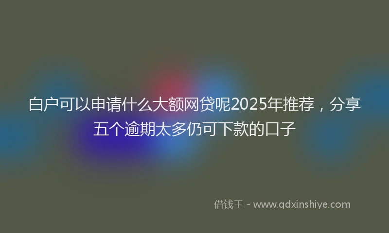 白户可以申请什么大额网贷呢2025年推荐，分享五个逾期太多仍可下款的口子