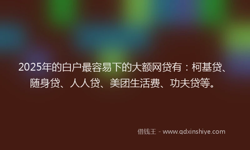 2025年的白户最容易下的大额网贷有：柯基贷、随身贷、人人贷、美团生活费、功夫贷等。