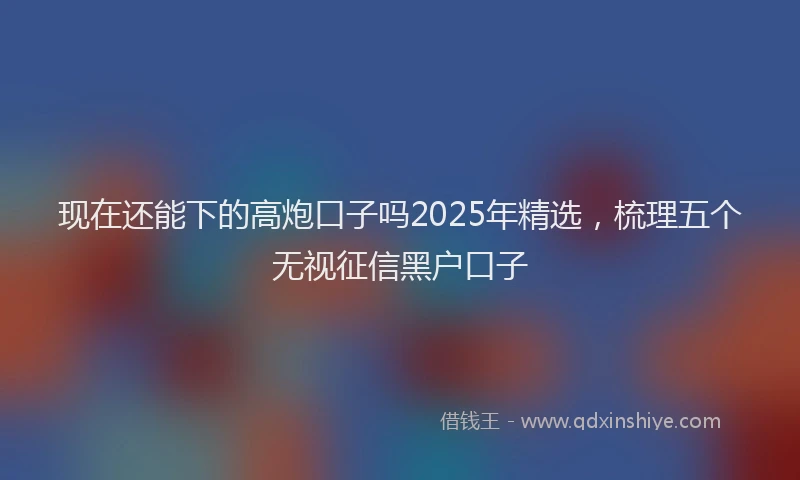 现在还能下的高炮口子吗2025年精选，梳理五个无视征信黑户口子