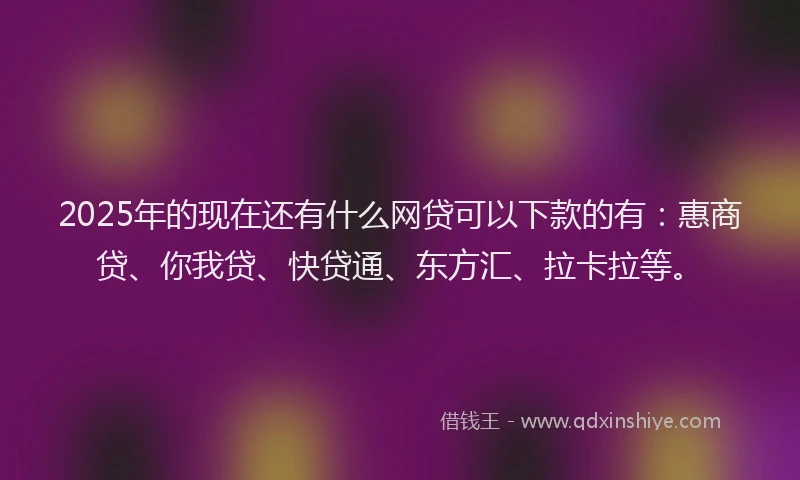2025年的现在还有什么网贷可以下款的有：惠商贷、你我贷、快贷通、东方汇、拉卡拉等。