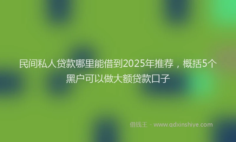 民间私人贷款哪里能借到2025年推荐，概括5个黑户可以做大额贷款口子