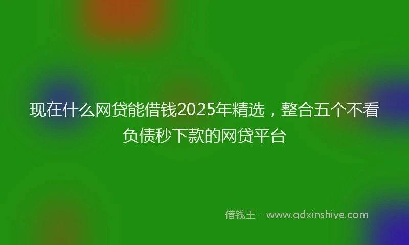 现在什么网贷能借钱2025年精选，整合五个不看负债秒下款的网贷平台