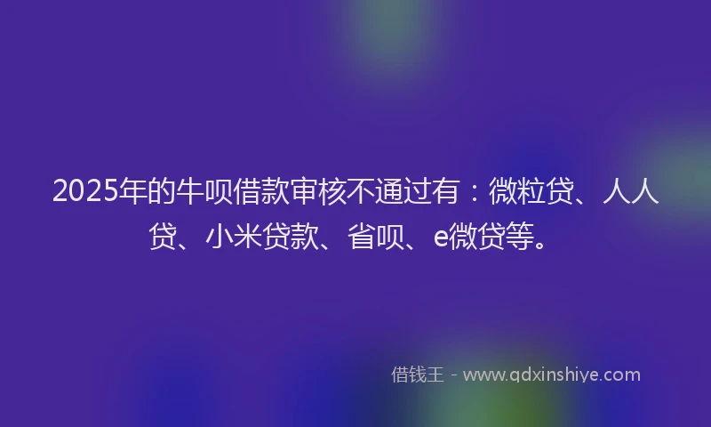 2025年的牛呗借款审核不通过有：微粒贷、人人贷、小米贷款、省呗、e微贷等。