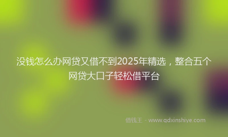 没钱怎么办网贷又借不到2025年精选，整合五个网贷大口子轻松借平台