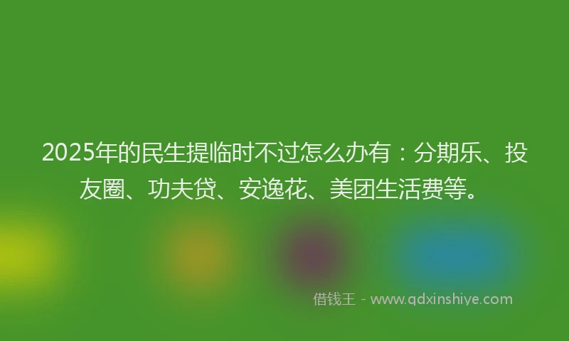 2025年的民生提临时不过怎么办有：分期乐、投友圈、功夫贷、安逸花、美团生活费等。