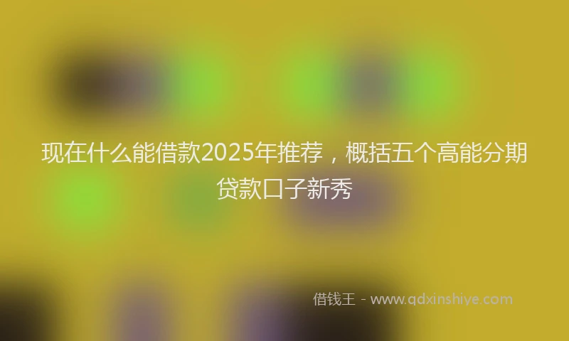 现在什么能借款2025年推荐，概括五个高能分期贷款口子新秀