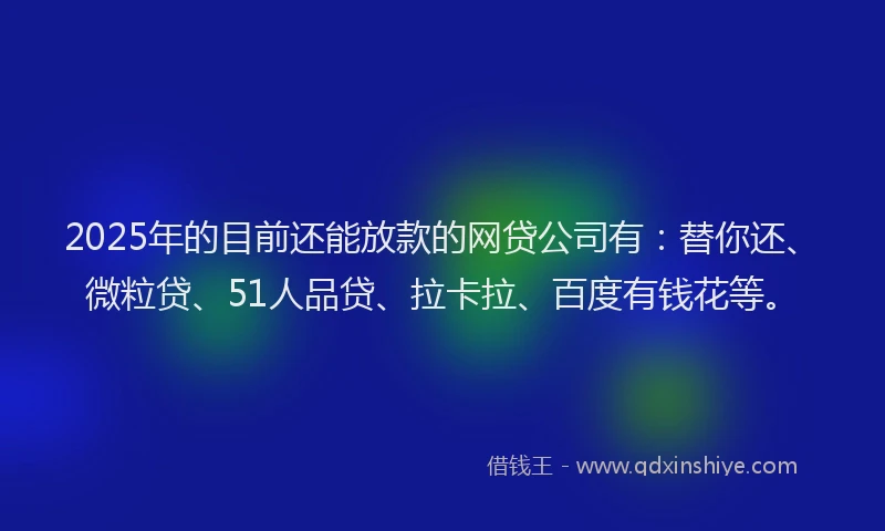 2025年的目前还能放款的网贷公司有：替你还、微粒贷、51人品贷、拉卡拉、百度有钱花等。