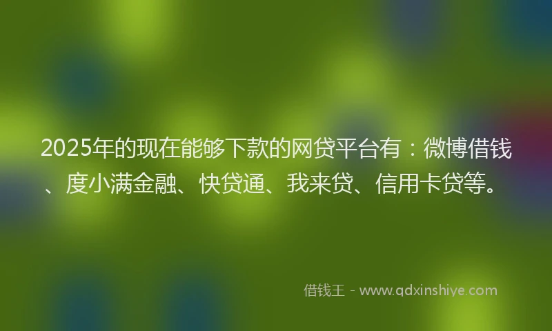 2025年的现在能够下款的网贷平台有：微博借钱、度小满金融、快贷通、我来贷、信用卡贷等。