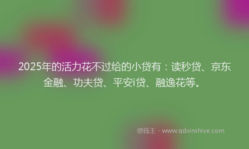 2025年的活力花不过给的小贷有：读秒贷、京东金融、功夫贷、平安i贷、融逸花等。