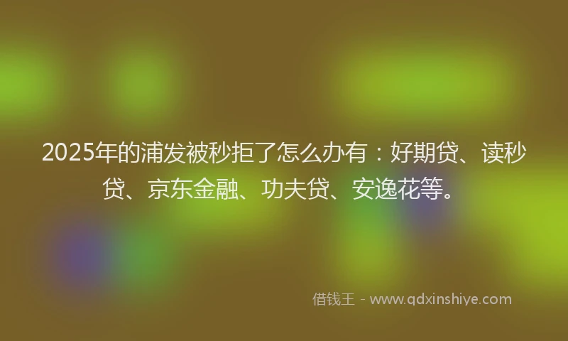 2025年的浦发被秒拒了怎么办有：好期贷、读秒贷、京东金融、功夫贷、安逸花等。