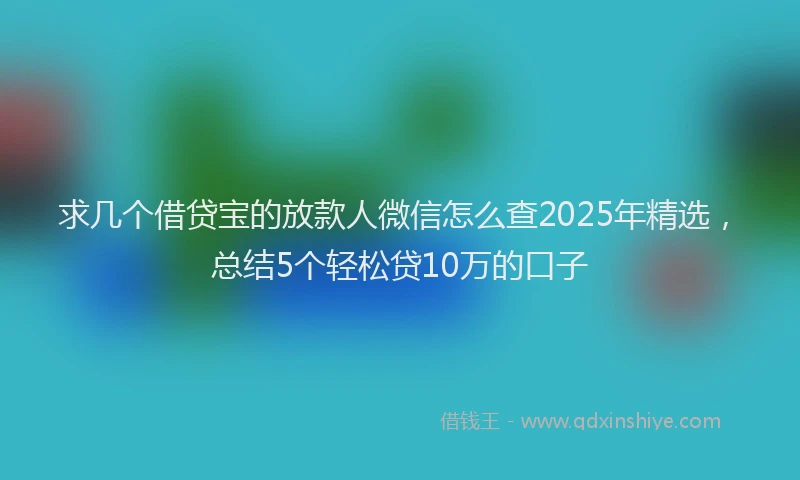 求几个借贷宝的放款人微信怎么查2025年精选，总结5个轻松贷10万的口子