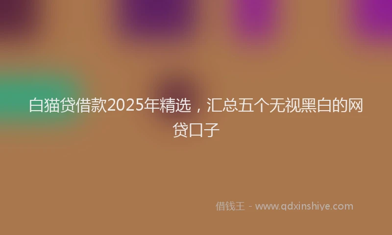 白猫贷借款2025年精选，汇总五个无视黑白的网贷口子