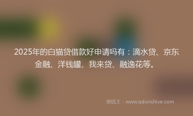2025年的白猫贷借款好申请吗有：滴水贷、京东金融、洋钱罐、我来贷、融逸花等。
