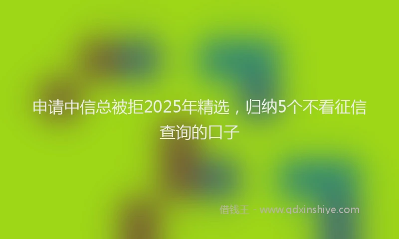 申请中信总被拒2025年精选，归纳5个不看征信查询的口子