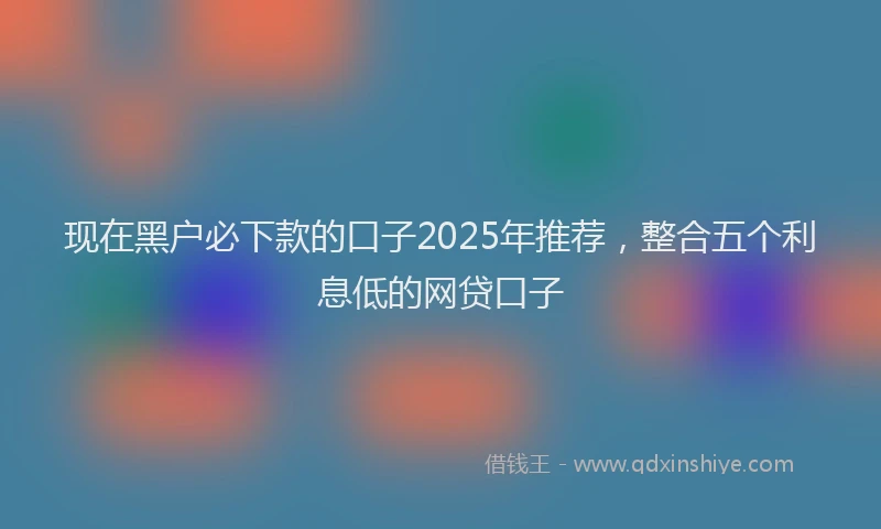 现在黑户必下款的口子2025年推荐，整合五个利息低的网贷口子