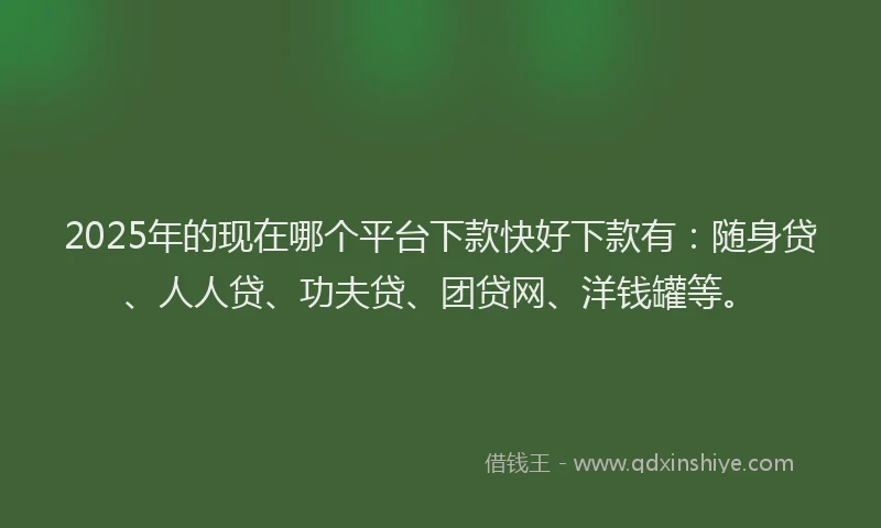 2025年的现在哪个平台下款快好下款有：随身贷、人人贷、功夫贷、团贷网、洋钱罐等。