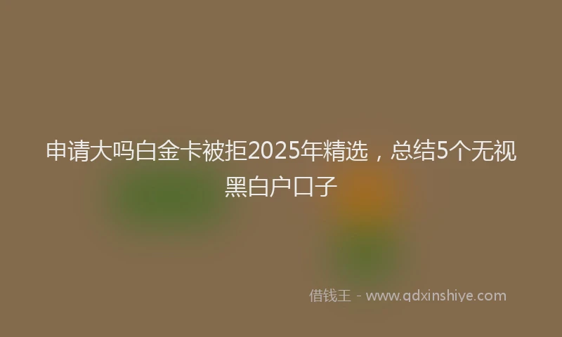 申请大吗白金卡被拒2025年精选，总结5个无视黑白户口子